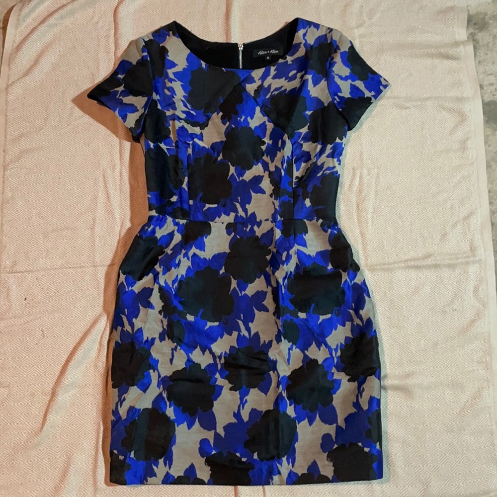 Gorgeous, well tailored Alex+Alex dress.